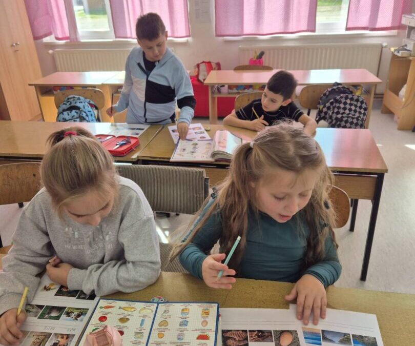 Miljevčani izrađivali svoj prvi rječnik!