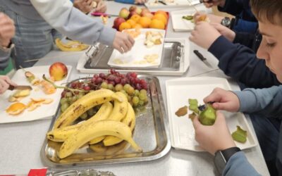 Voćni ražnjići za Svjetski dan šećerne bolesti