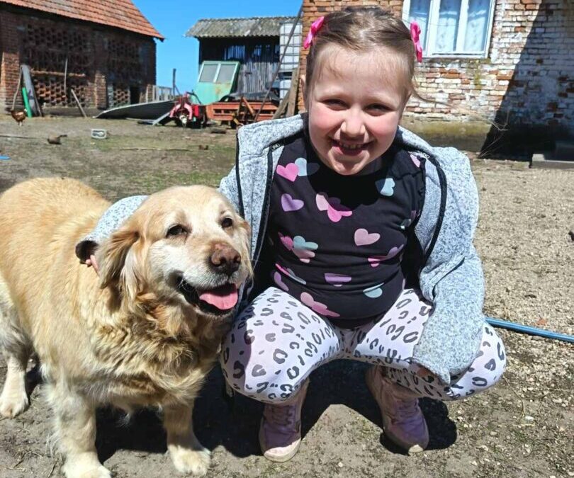 Završne aktivnosti projekta o ljubimcima